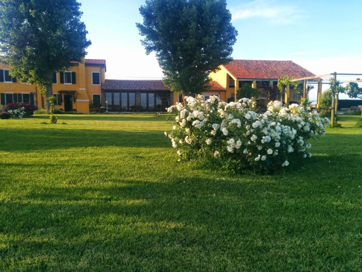 키오자 Antica Vigna B&B 외부 사진
